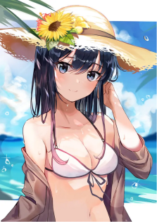  [s-2-11] 