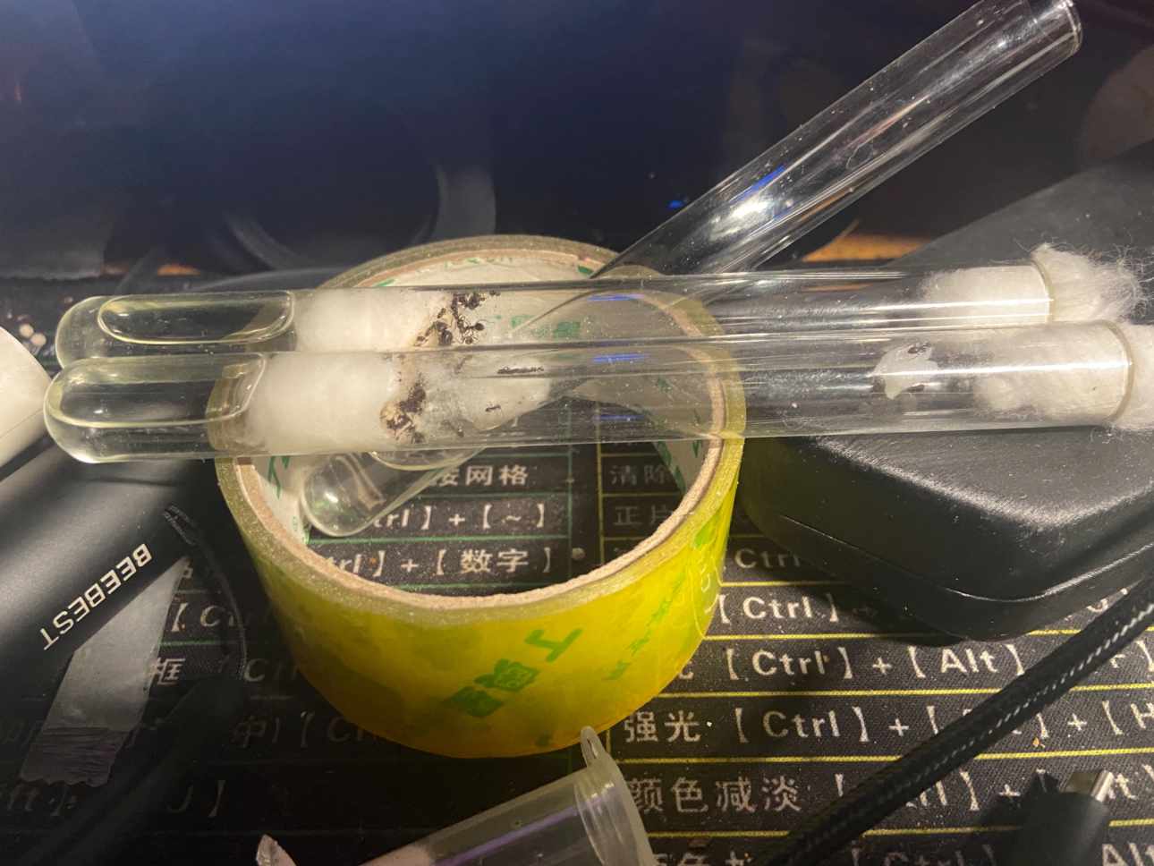 蜘蛛佬不光有蜘蛛 而