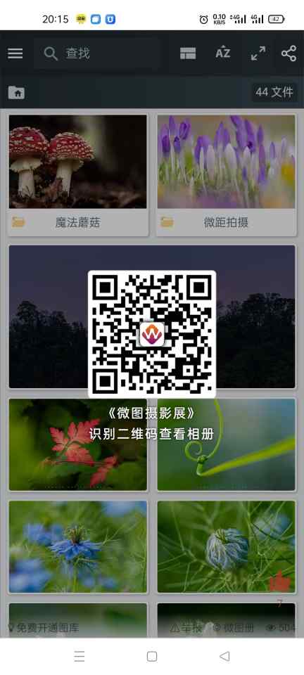 图片分享https: