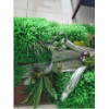 Jack_931